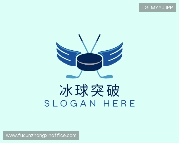 了解冰球突破